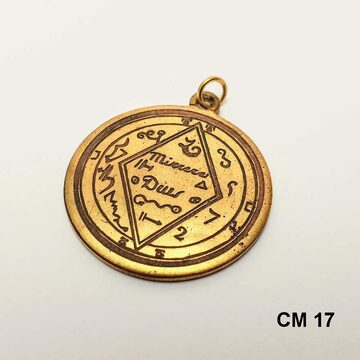 Miniatura 10