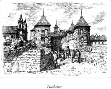 Miniatura 14